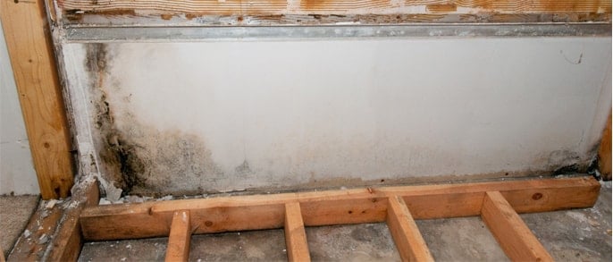 Ventilatie kelder: 7 redenen om niet te lang te wachten