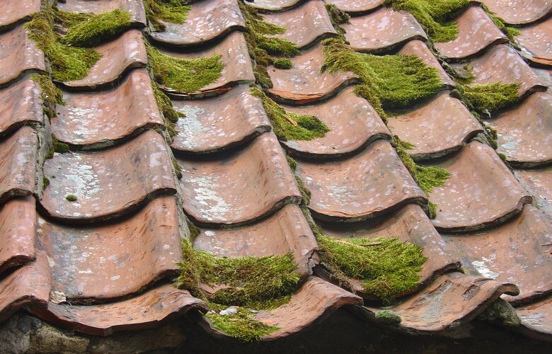 Mos op dakpannen: dak onderhoud nodig