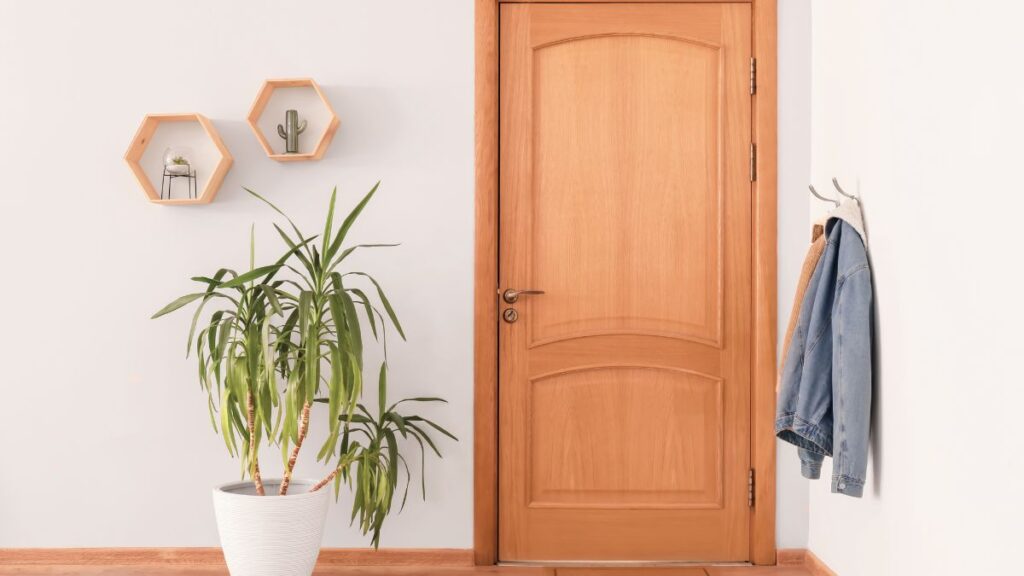 Een houten binnendeur omgeven door witte muren, een kapstok en plant